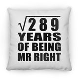 17th Anniversary Square Root of 289 Years of Being Mr Right - Throw Pillow