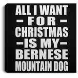 All I Want For Christmas Is My Bernese Mountain Dog - Canvas Square