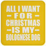 All I Want For Christmas Is My Bolognese Dog - Coaster