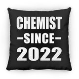 Chemist Since 2022 - Throw Pillow Black