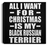 All I Want For Christmas Is My Black Russian Terrier - Canvas Square