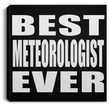 Best Meteorologist Ever - Canvas Square