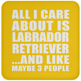 All I Care About Is Labrador Retriever - Drink Coaster