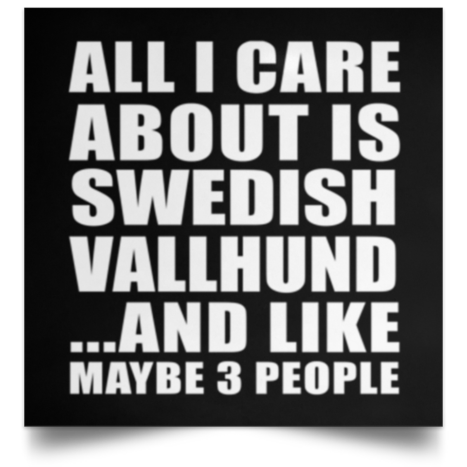 All I Care About Is Swedish Vallhund - Poster Square