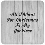 All I Want For Christmas Is My Yorktese - Drink Coaster F