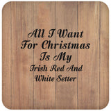 All I Want For Christmas Is My Irish Red And White Setter - Drink Coaster C