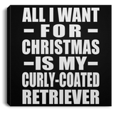 All I Want For Christmas Is My Curly-Coated Retriever - Canvas Square