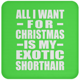 All I Want For Christmas Is My Exotic Shorthair - Coaster
