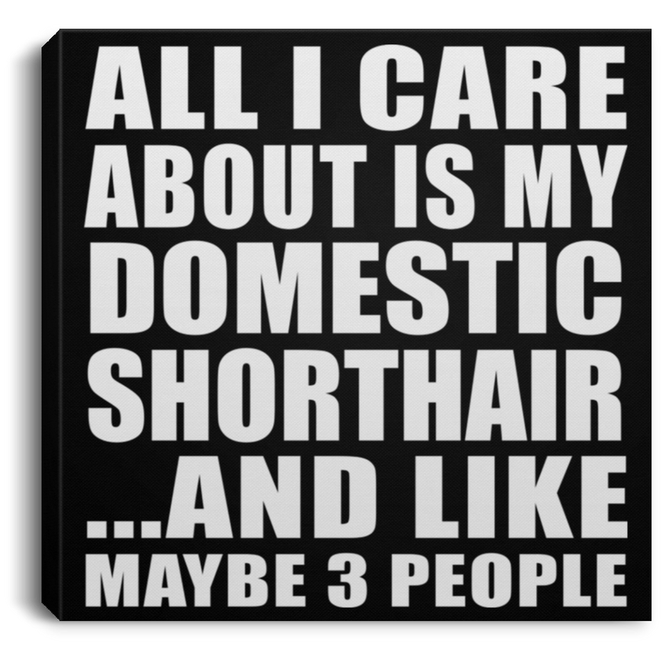 All I Care About Is My Domestic Shorthair - Canvas Square