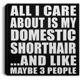 All I Care About Is My Domestic Shorthair - Canvas Square