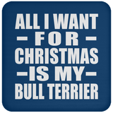 All I Want For Christmas Is My Bull Terrier - Coaster