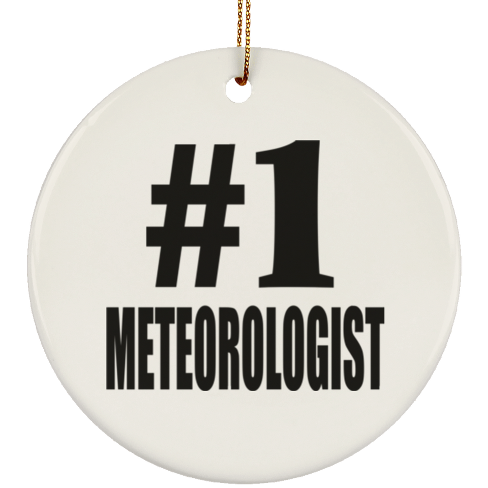 Number One #1 Meteorologist - Circle Ornament