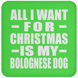 All I Want For Christmas Is My Bolognese Dog - Coaster