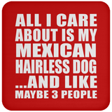 All I Care About Is My Mexican Hairless Dog - Drink Coaster