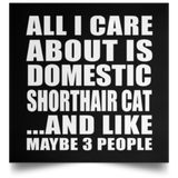 All I Care About Is Domestic Shorthair Cat - Poster Square