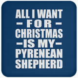 All I Want For Christmas Is My Pyrenean Shepherd - Coaster