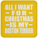 All I Want For Christmas Is My Boston Terrier - Coaster