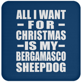 All I Want For Christmas Is My Bergamasco Sheepdog - Coaster