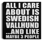 All I Care About Is Swedish Vallhund - Canvas Square
