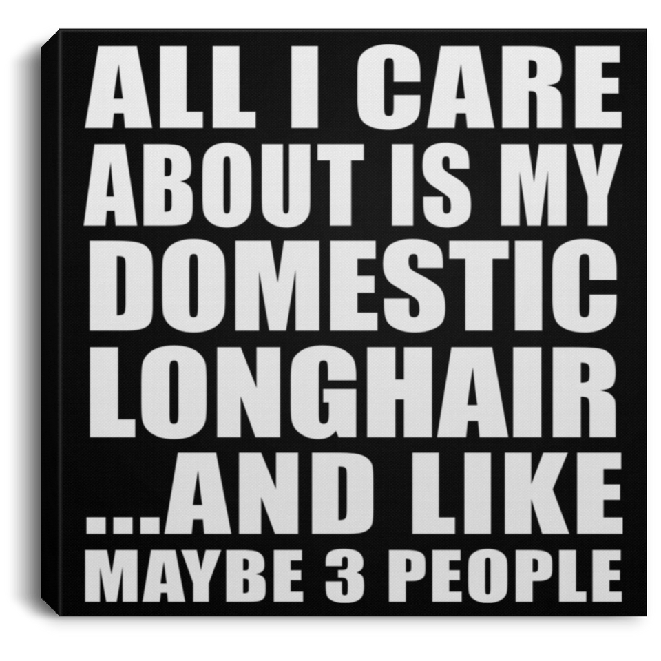 All I Care About Is My Domestic Longhair - Canvas Square