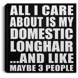 All I Care About Is My Domestic Longhair - Canvas Square