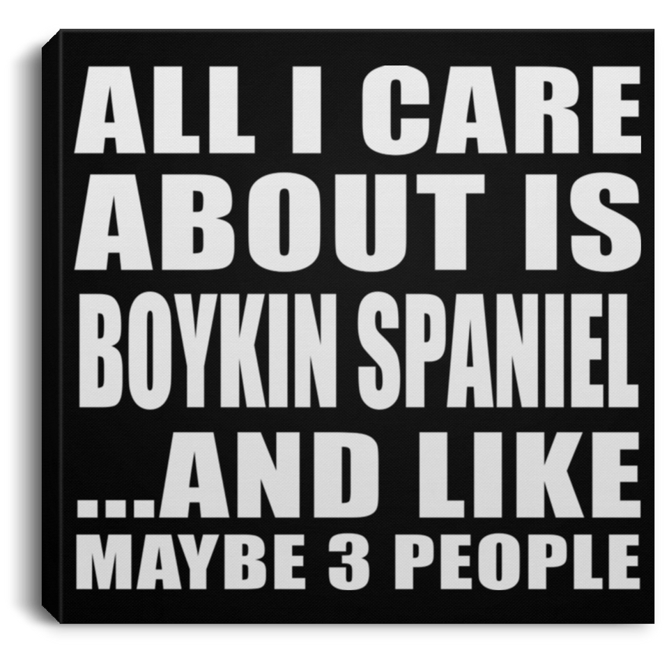 All I Care About Is Boykin Spaniel - Canvas Square