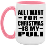 All I Want For Christmas Is My Puli - 15oz Accent Mug Pink