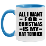 All I Want For Christmas Is My Rat Terrier - 11oz Accent Mug Blue