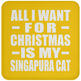 All I Want For Christmas Is My Singapura Cat - Coaster