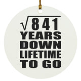 29th Anniversary Square Root of 841 Years Lifetime To Go - Circle Ornament
