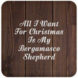 All I Want For Christmas Is My Bergamasco Shepherd - Drink Coaster D