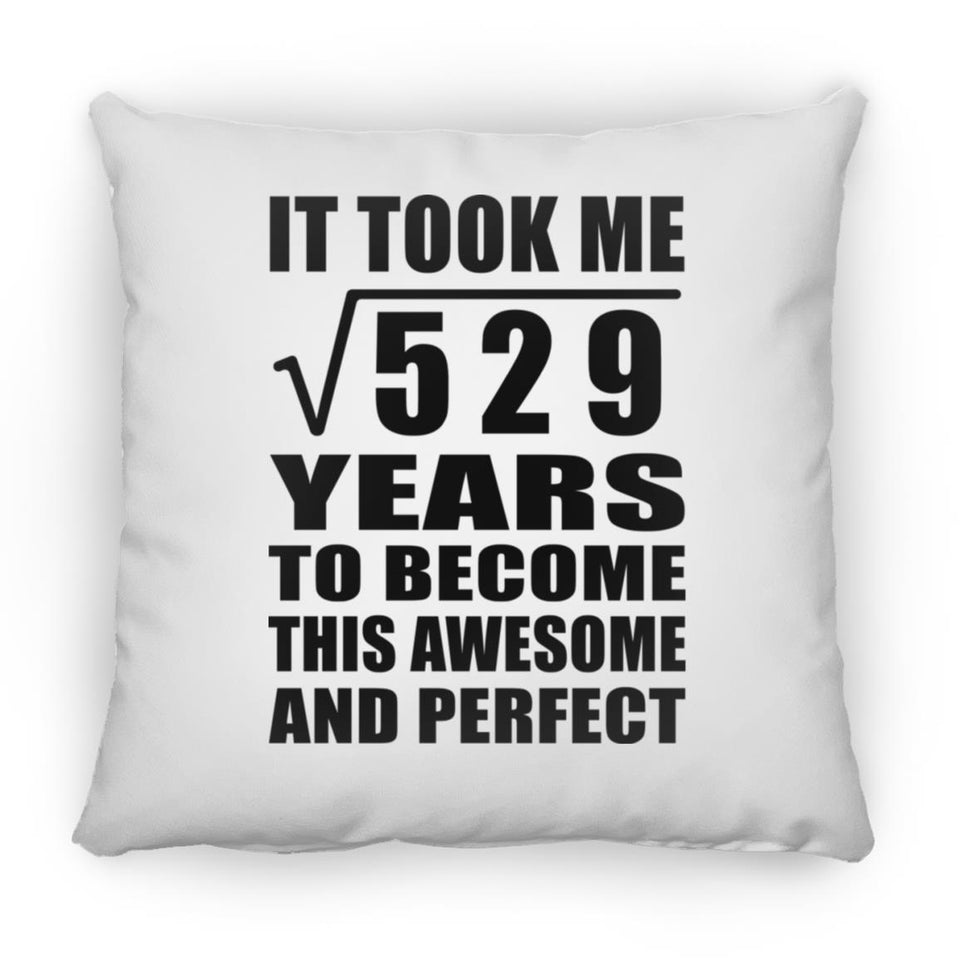 23rd Birthday Took Square Root of 529 Years To Awesome - Throw Pillow