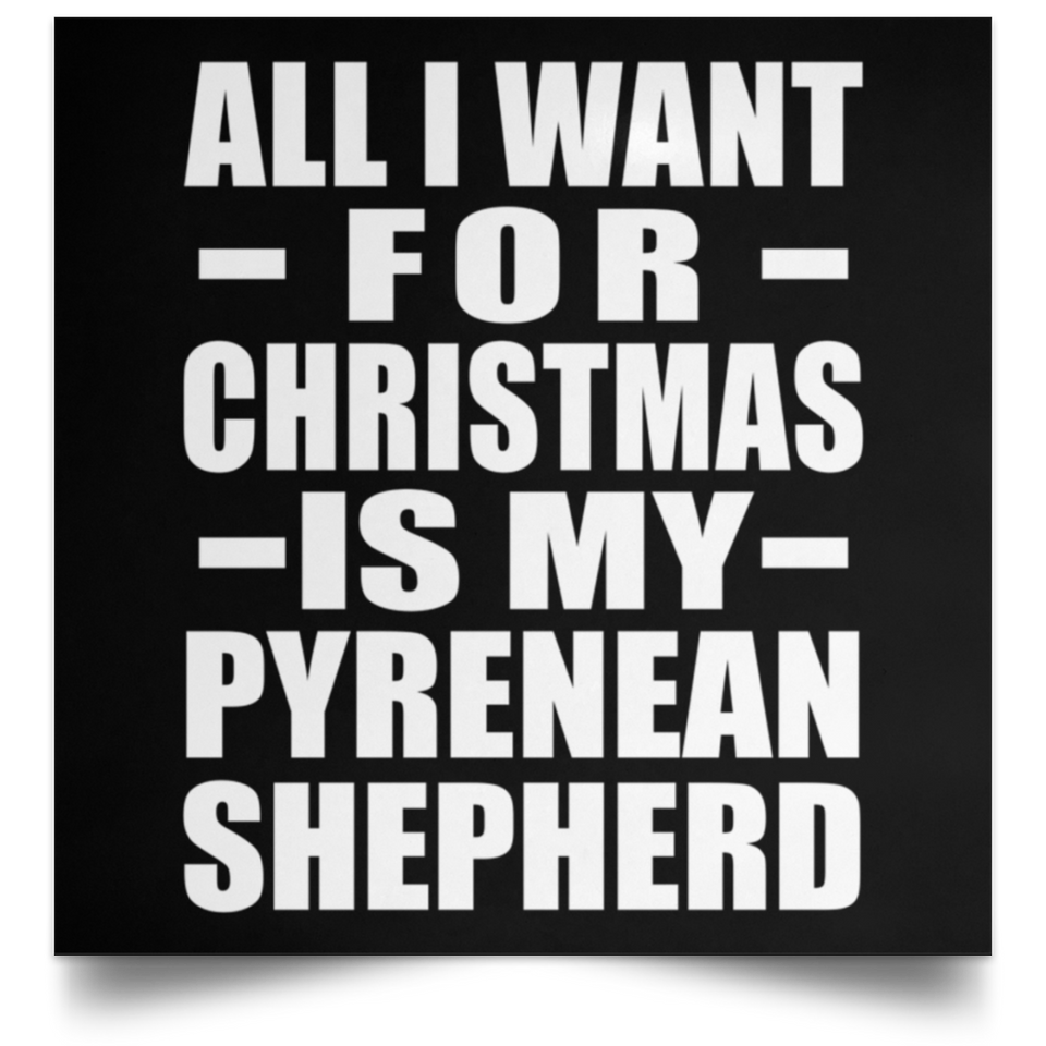 All I Want For Christmas Is My Pyrenean Shepherd - Poster Square