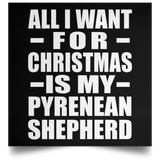 All I Want For Christmas Is My Pyrenean Shepherd - Poster Square