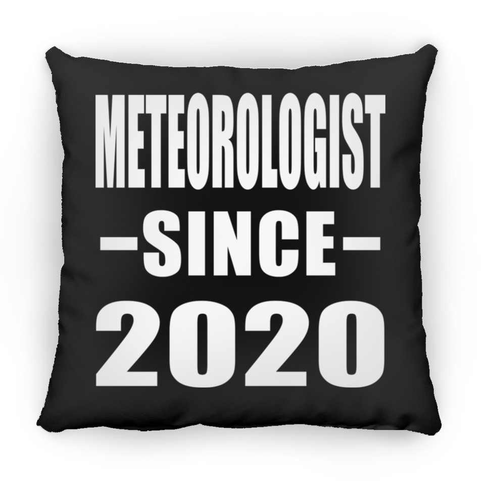 Meteorologist Since 2020 - Throw Pillow Black