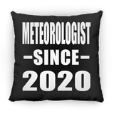 Meteorologist Since 2020 - Throw Pillow Black