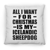 All I Want For Christmas Is My Icelandic Sheepdog - Throw Pillow