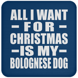 All I Want For Christmas Is My Bolognese Dog - Coaster