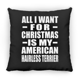 All I Want For Christmas Is My American Hairless Terrier - Throw Pillow Black