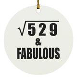 23rd Birthday Square Root of 529 & Fabulous - Circle Ornament