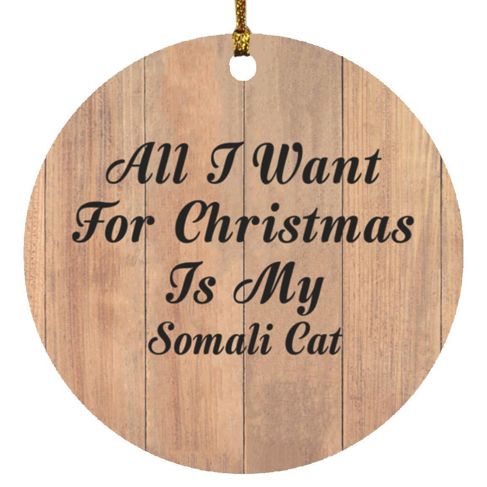 All I Want For Christmas Is My Somali Cat - Circle Ornament C