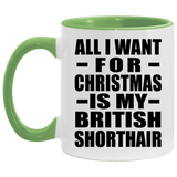 All I Want For Christmas Is My British Shorthair - 11oz Accent Mug Green