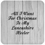 All I Want For Christmas Is My Lancashire Heeler - Drink Coaster F