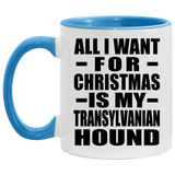 All I Want For Christmas Is My Transylvanian Hound - 11oz Accent Mug Blue