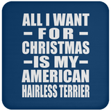 All I Want For Christmas Is My American Hairless Terrier - Coaster