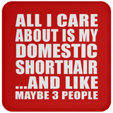 All I Care About Is My Domestic Shorthair - Drink Coaster