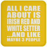 All I Care About Is Irish Red And White Setter - Drink Coaster