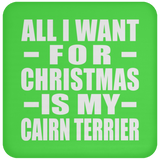 All I Want For Christmas Is My Cairn Terrier - Coaster