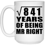 29th Anniversary Square Root of 841 Years of Being Mr Right - 15oz Coffee Mug