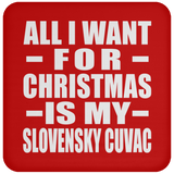 All I Want For Christmas Is My Slovensky Cuvac - Coaster